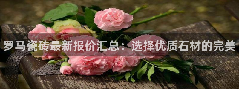 华润娱乐代理