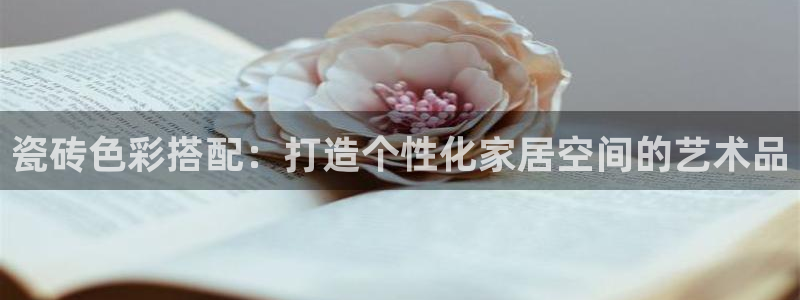 华润时代娱乐项目介绍：瓷砖色彩搭配：打造个性化家居空间的艺术品