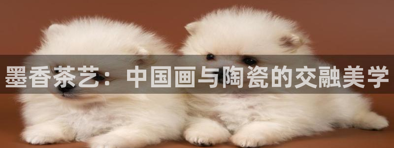 华润娱乐贡122222：墨香茶艺：中国画与陶瓷的交融美学