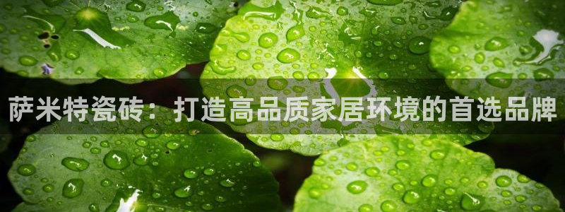 华润娱乐于六七五一38