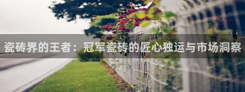 华润娱乐公司