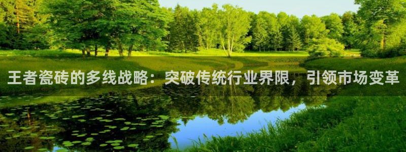 华润娱乐技术前景