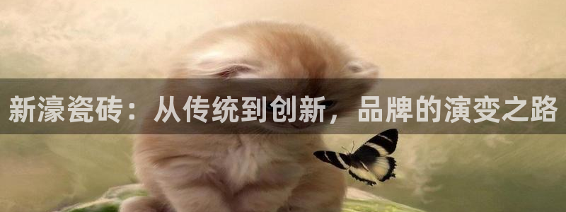 华润娱乐掖122222