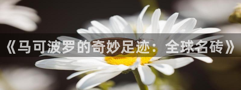 华润娱乐蚁122222