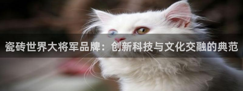 华润娱乐葳q675.138