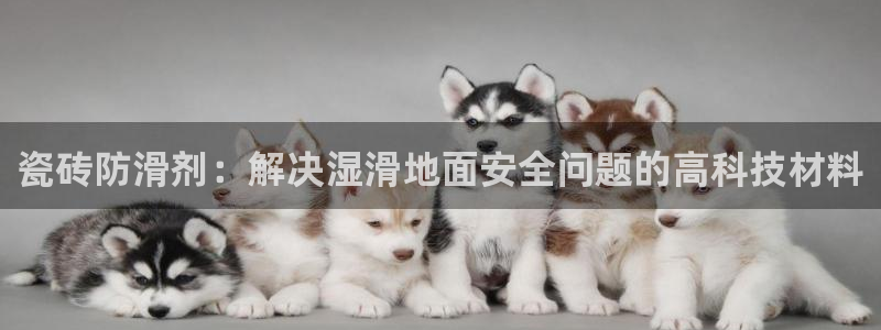 华润娱乐蜒95692