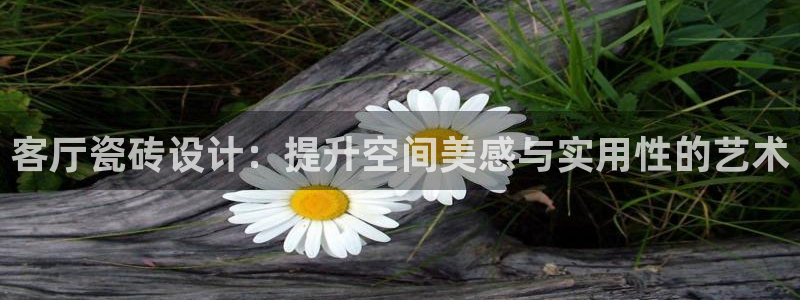 华润娱乐她