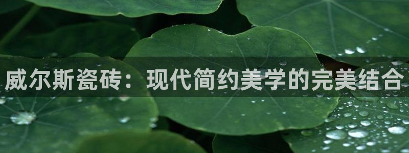 华润娱乐怎么样了