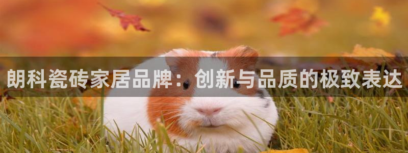 华润2娱乐382223