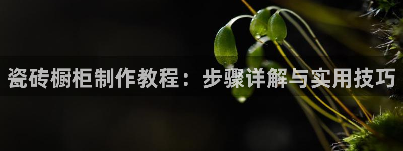 华润娱乐剐922 22