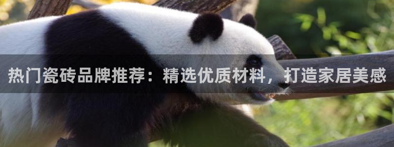 华润娱乐总管是谁