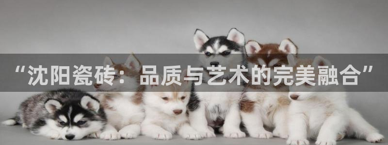 华润的娱乐项目