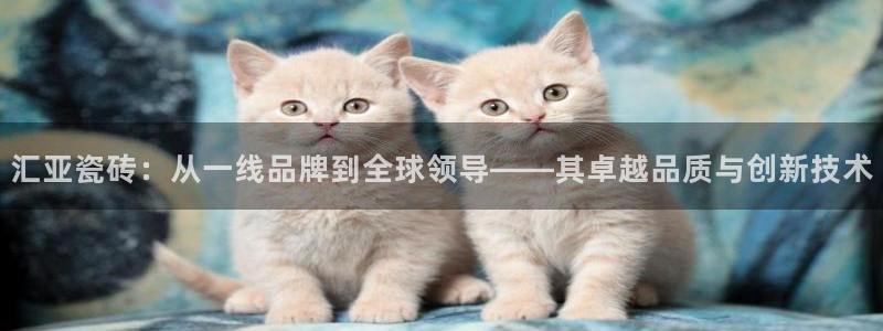 华润娱乐只