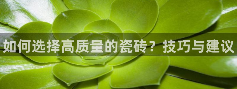 华润娱乐在线