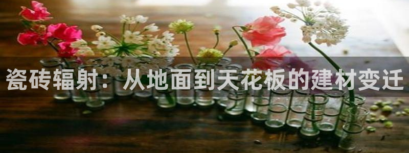 华润娱乐分