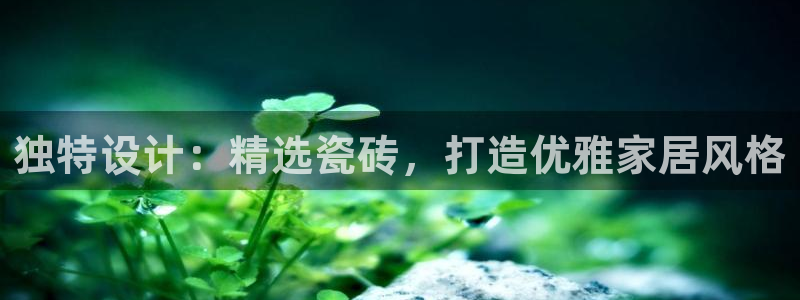 华润娱乐平台主管