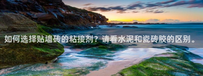 华润娱乐枷92222