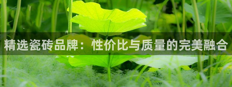 华润娱乐下5指尖