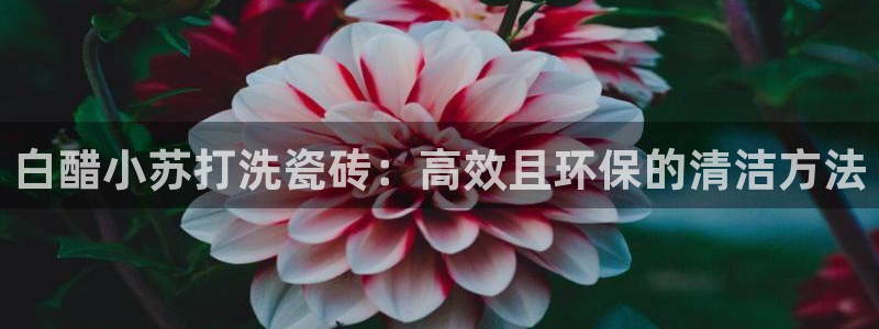 华润娱乐搪 92222