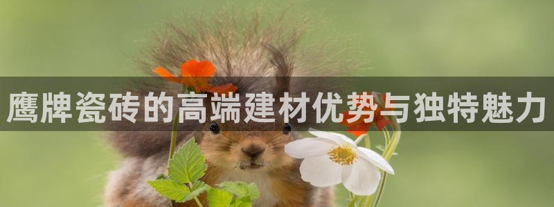 华润娱乐32二九01