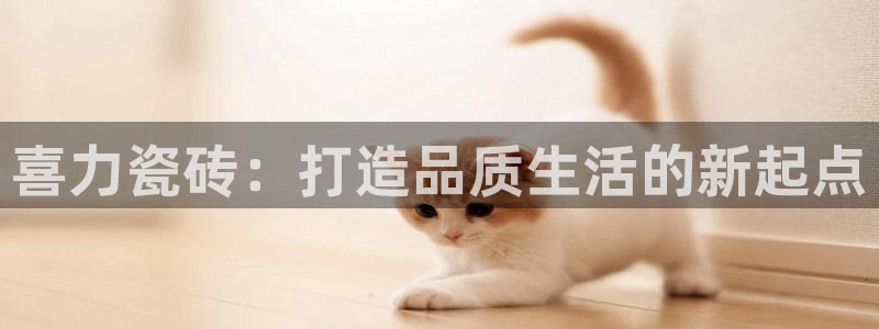 华润娱乐丶92222