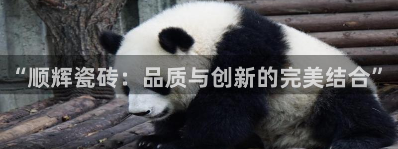 华润娱乐地