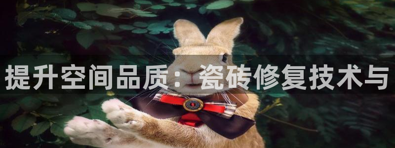 华润娱乐张博