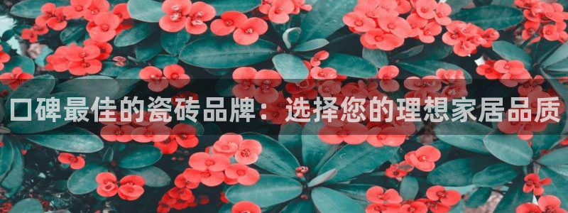 华润娱乐巾67五壹叁八