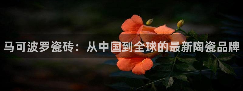 华润娱乐年