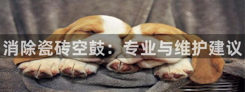 华润娱乐来认772 2