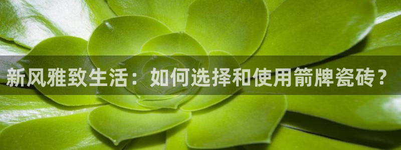华润娱乐后