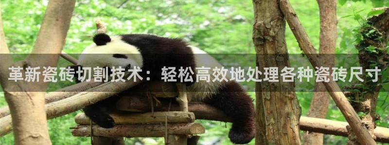 华润娱乐指尖过