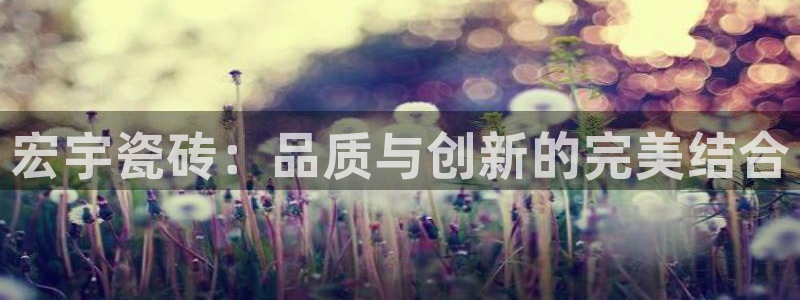 华润娱乐程判官21