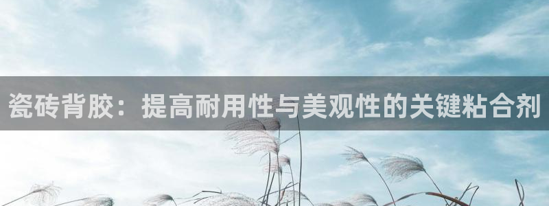华润娱乐后