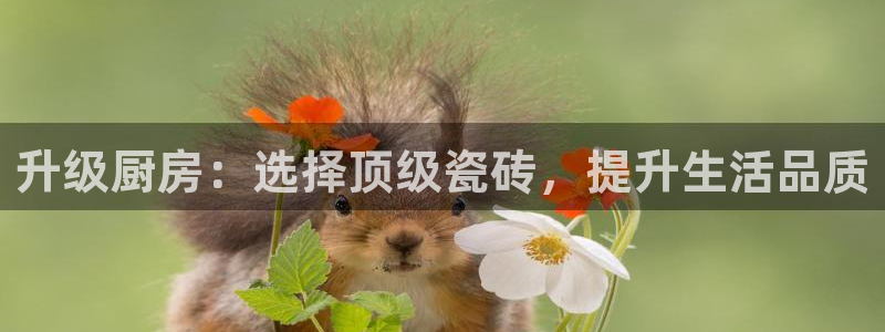 华润娱乐六柒五I38