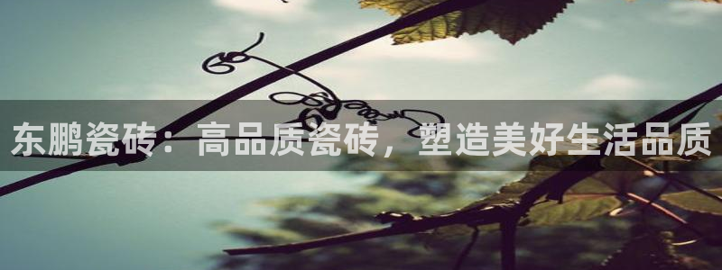 广州华润娱乐城