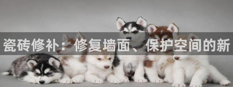 华润娱乐会员怎么注册