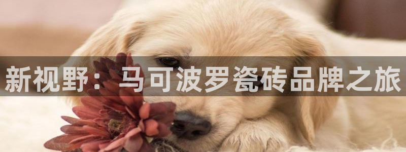 华润五彩城娱乐