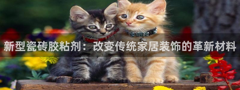 华润娱乐何122222