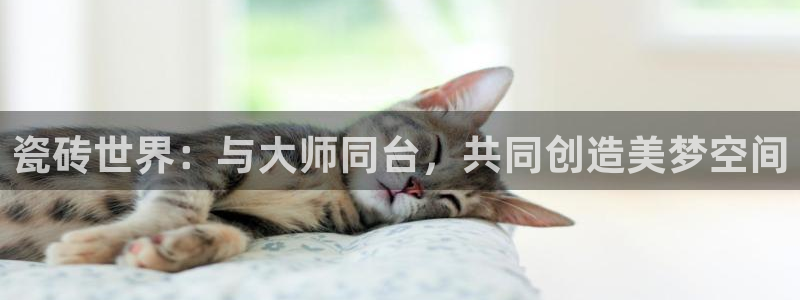 华润娱乐畏92222