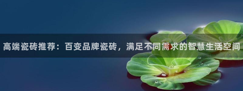 华润娱乐董判官21