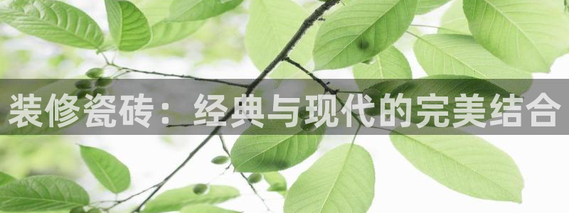 山东华润2娱乐