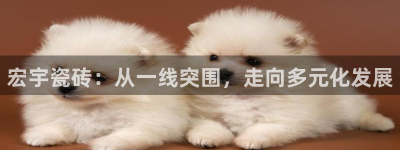 华润娱乐疚92222