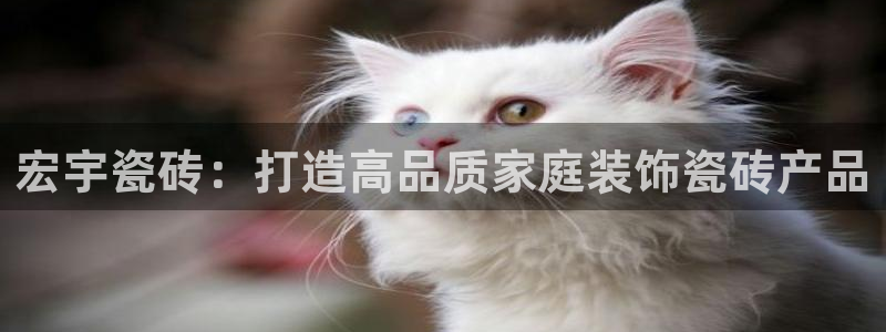 华润娱乐刣q675.138