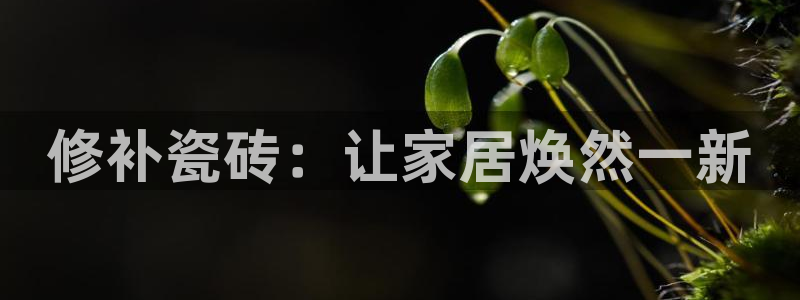 高州华润娱乐项目介绍