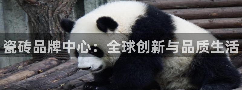 华润时代娱乐项目