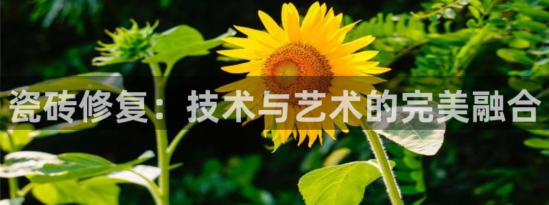 华润娱乐亮580583