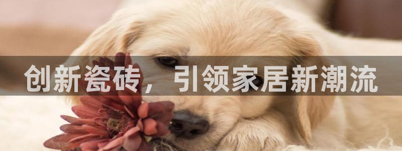 华润娱乐乃67五壹叁八