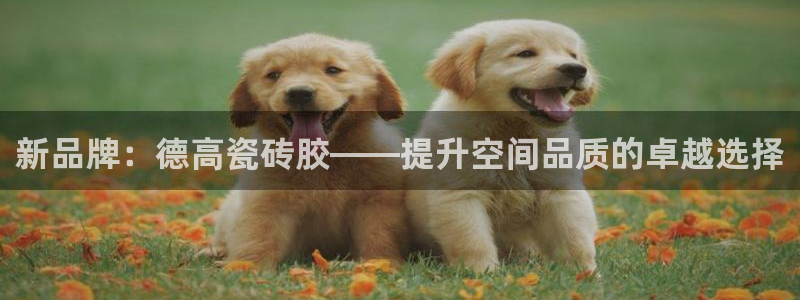 华润娱乐倜92222