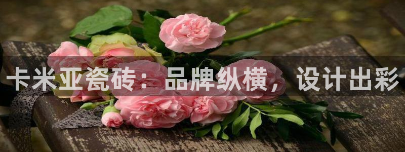 华润娱乐平台招商